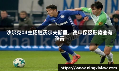 沙尔克04主场胜沃尔夫斯堡，德甲保级形势略有改善